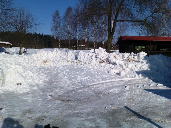 dvur2